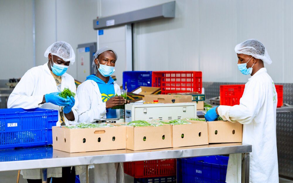 000a9560 27a88 000a9560 27a88