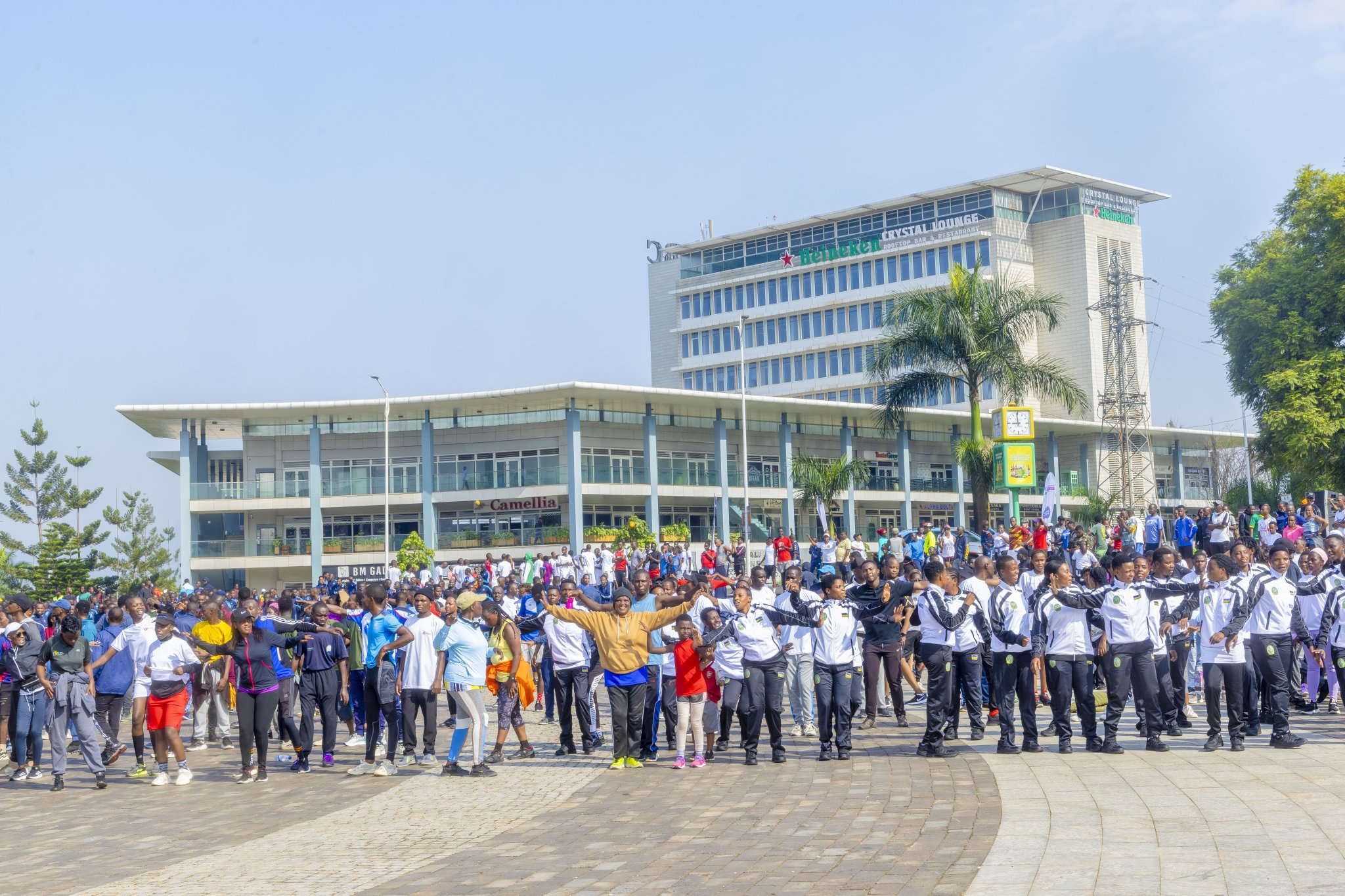 1772960733255img 4503