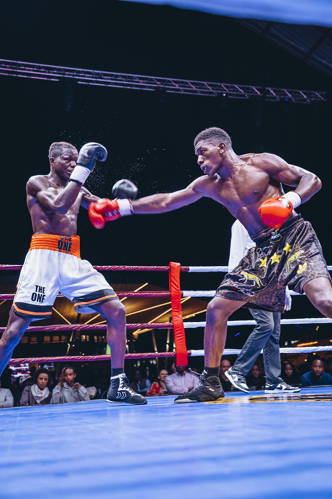 54913847105 19334be8d3 b 798b8