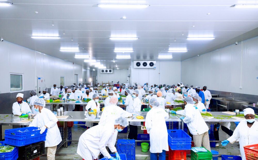 Colds Solutions Rwanda yafunguye ikigo gitunganyirizwamo imboga n’imbuto byoherezwa mu mahanga